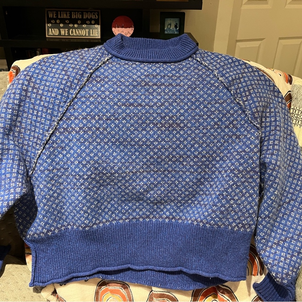 Free People Blue and White Sweater